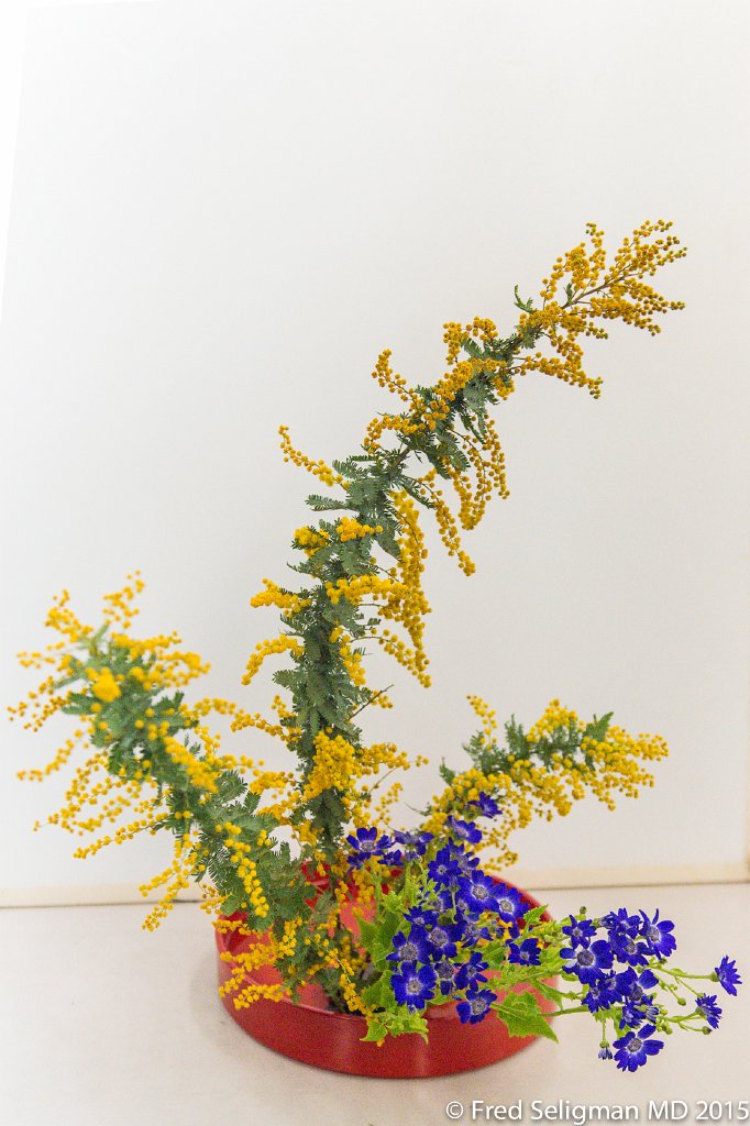 20150310_113745 D4S.jpg - Scenes from a Ikebana (the art of flower arrangement) class, Tokyo.